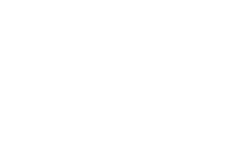 GalleriaDellaSposa